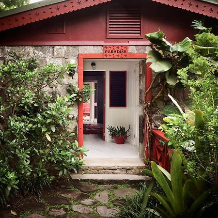 Golden Rock Nevis Otel Dış mekan fotoğraf